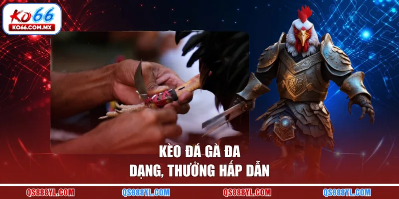 Kèo đá gà đa dạng, thưởng hấp dẫn