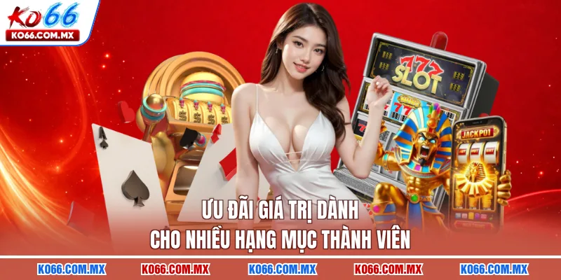 Ưu đãi giá trị dành cho nhiều hạng mục thành viên